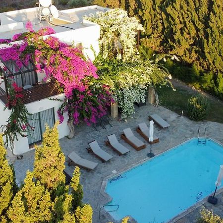 Banana Sunset Villas Paphos Exterior foto
